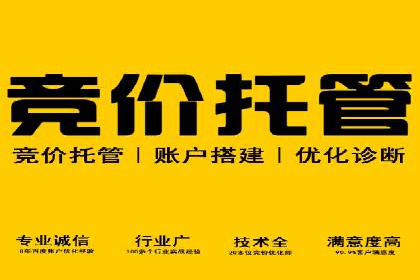SEM托管服务案例：揭秘高效广告投放